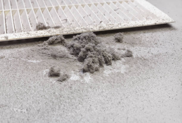 Best Affordable Duct Cleaning Services  in Walnut, IL