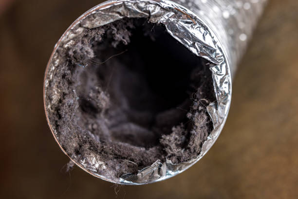 Reliable Walnut, IL Airduct Cleaning Solutions