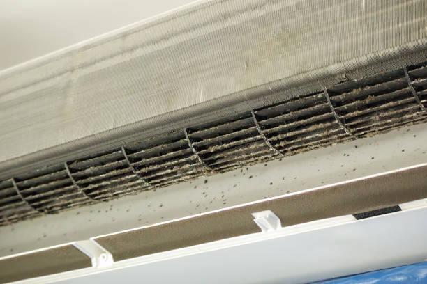 Best Air Duct Cleaning Near Me  in Walnut, IL